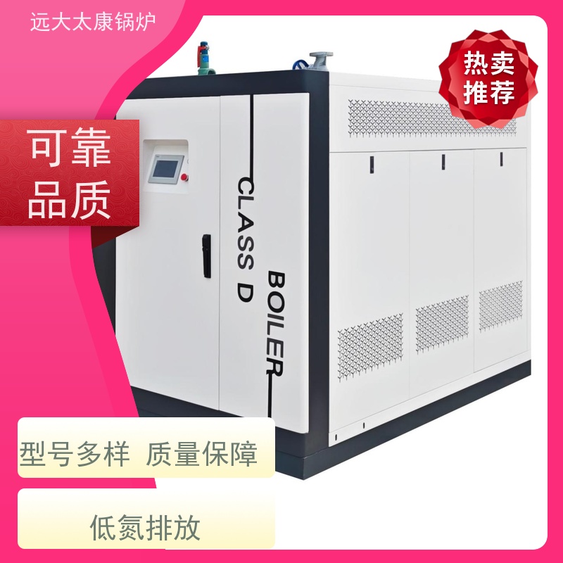 远大太康 0.5吨 用户免报检 电镀 化工 D级蒸汽发生器