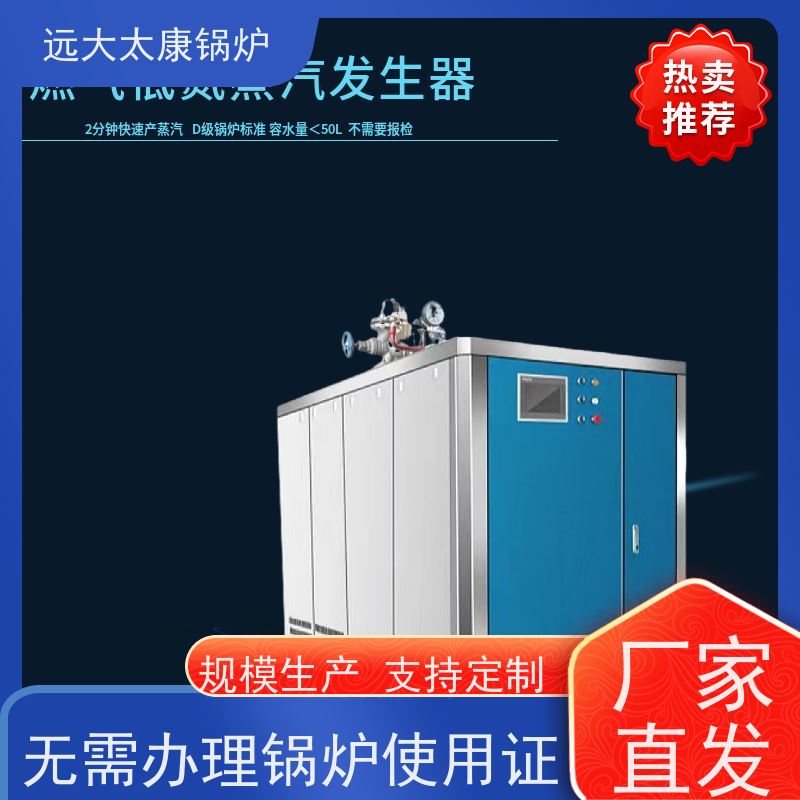远大太康 电镀 化工 D级锅炉 工业级设备免上户 容水量＜50L