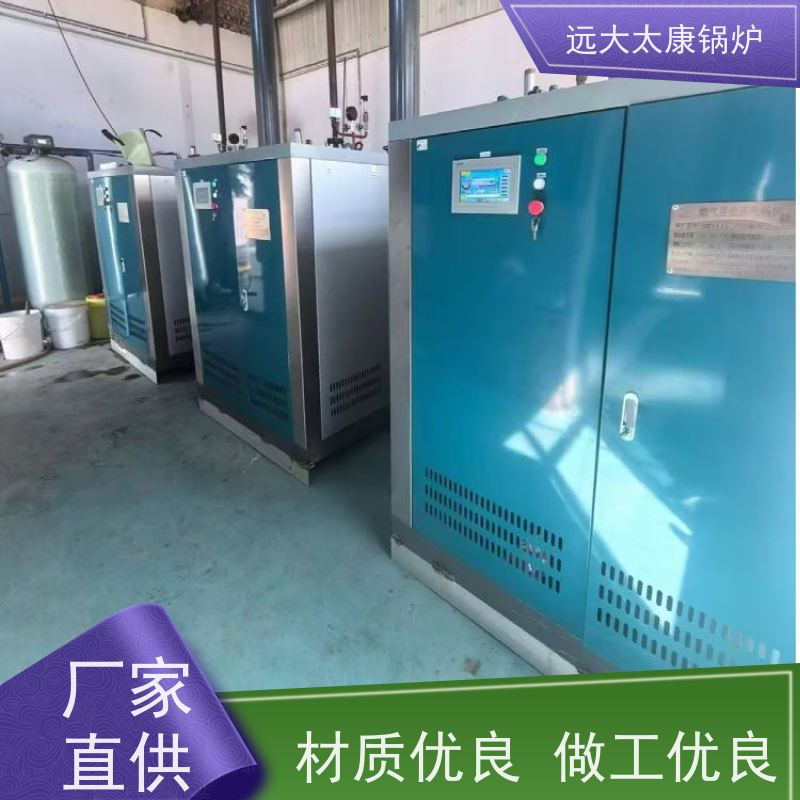 远大太康 3吨用户免报检 豆制品加工 D级蒸汽发生器