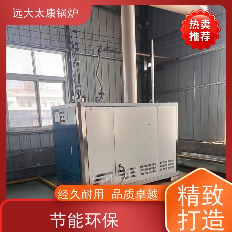 远大太康 无需办理锅炉使用证 食品加成 D级蒸汽发生器