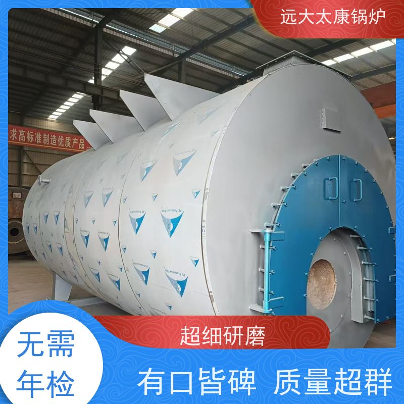 WNS6-1.25-YQ 生物质蒸汽锅炉 远大太康 源头工厂 高铁桥梁蒸养