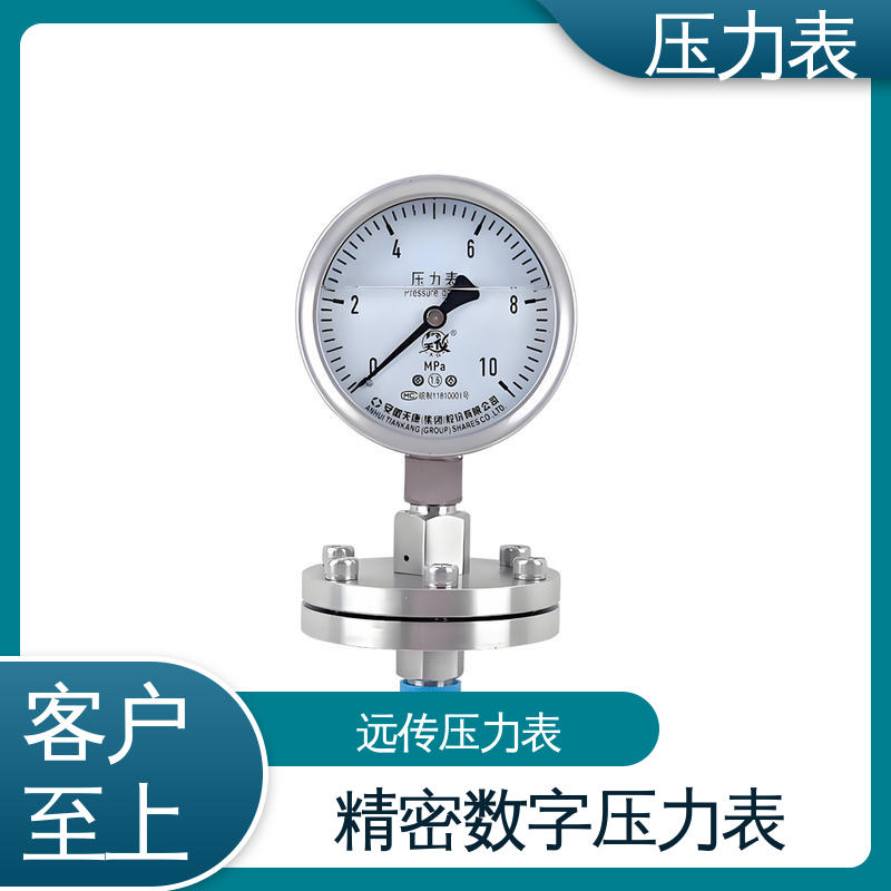 天康 LT系列 膜片压力表 直观性强 可靠性高 实力厂家 支持定制