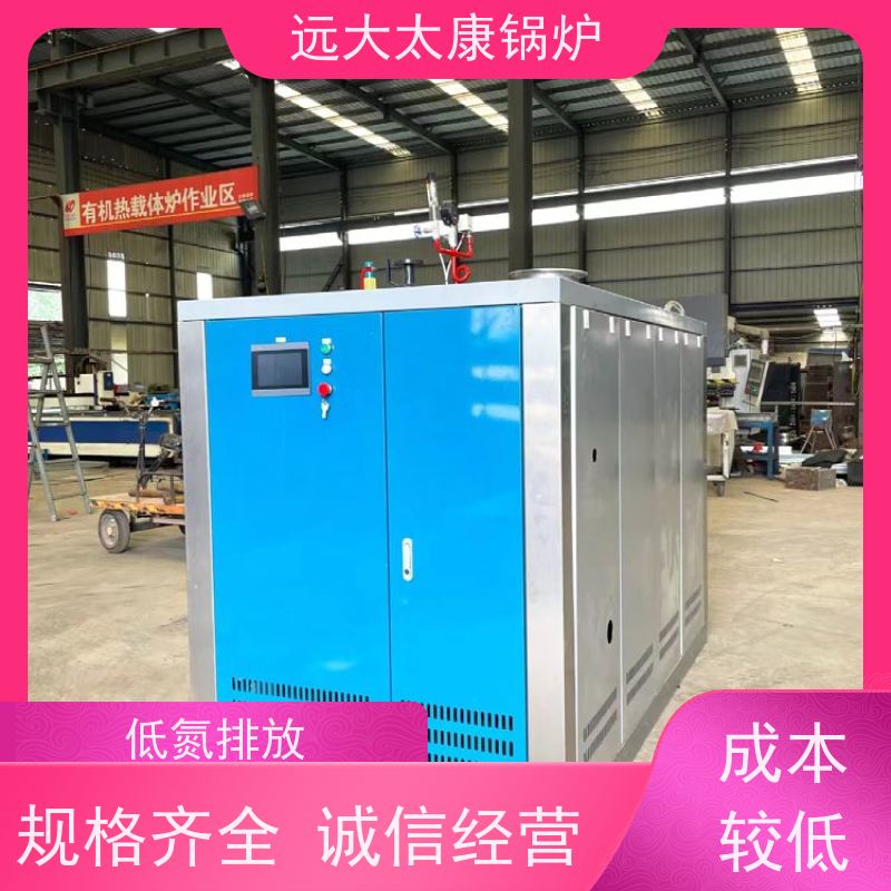 远大太康 低氮冷凝 热效率高达98% 豆制品加工 D级蒸汽锅炉