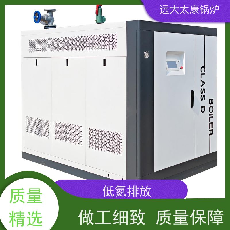 远大太康 豆制品加工 D级蒸汽锅炉 3吨用户免报检