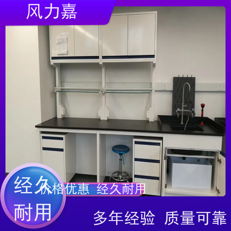 化验室中央台个性化定制风力嘉品牌生产厂家