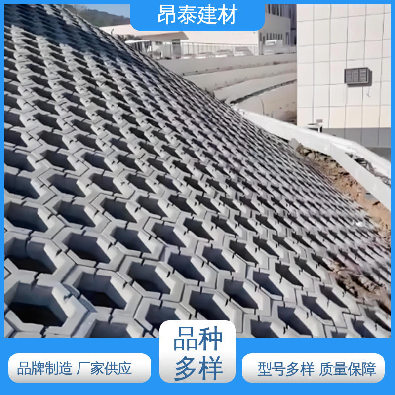 抗剪能力强 混泥土实心砖 出货质检 六棱护坡砖 昂泰建材