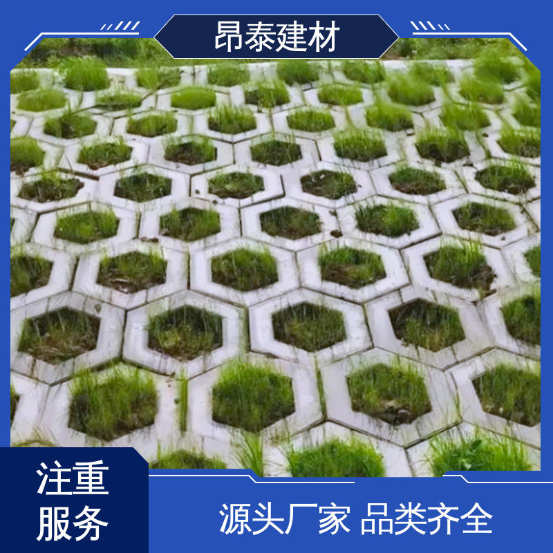 源头工厂 库存充足发货快 做工精细 六棱护坡砖 耐磨耐风化