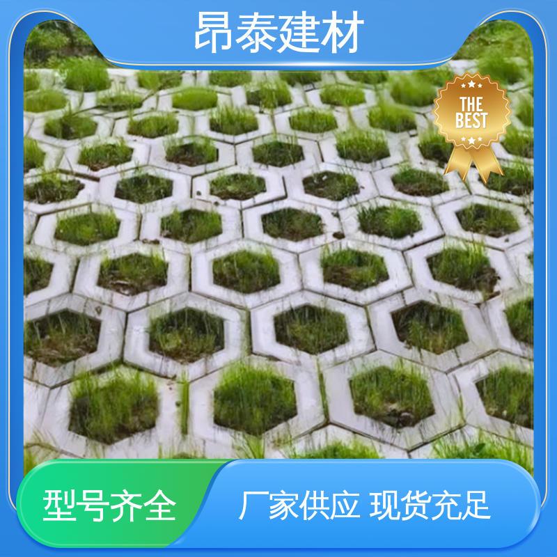 实力商家 坚固牢靠 六棱护坡砖 库存充足发货快 防腐性能高