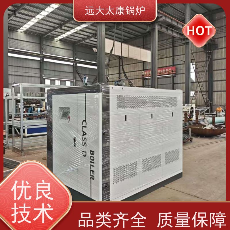 远大太康 产汽速度快 1-3分钟产蒸汽 食品加成 D级锅炉 