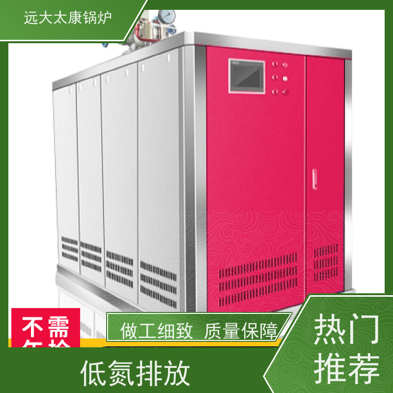 远大太康 电镀 化工 d级燃气蒸汽锅炉 工业级设备免上户 容水量＜50L