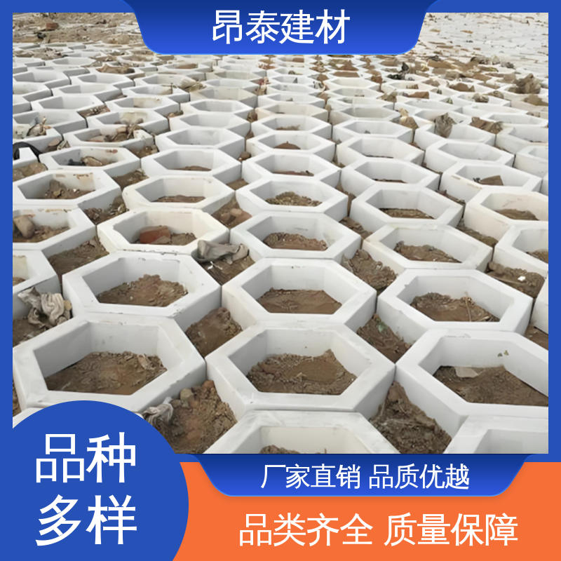 高度10cm 尺寸按需生产 防腐性能高 六棱护坡砖 源头工厂
