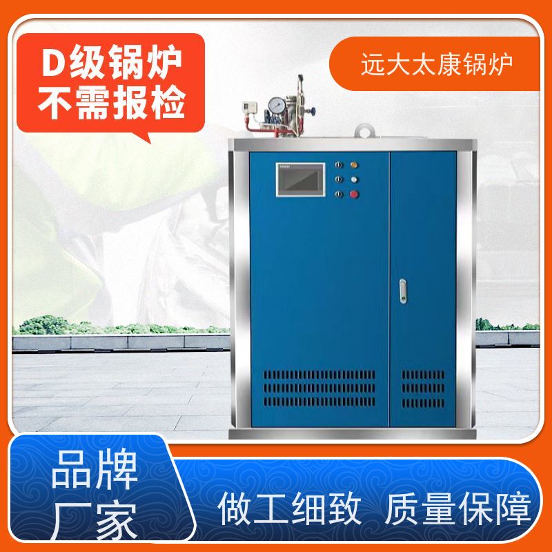 远大太康 电镀 化工 D级蒸汽锅炉 3吨用户免报检