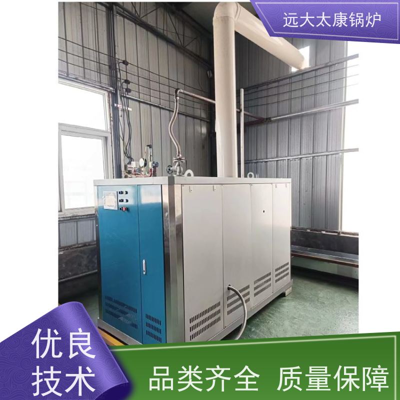 远大太康 豆制品加工 d级蒸汽发生器 无需办理锅炉使用证