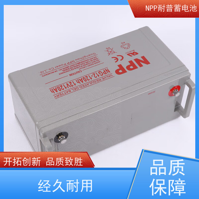 UPS蓄电池 NPG12-200 适用EPS ups电源 安装维修维护