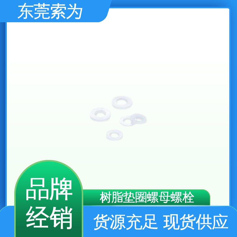 供应 日本NBK 螺母螺栓 SPV-W树脂垫圈 用于通用设备制造