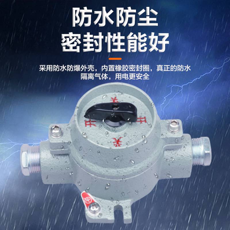 升羿SE_防爆照明开关 防腐防尘防水开关 三防一体 化工车间专用