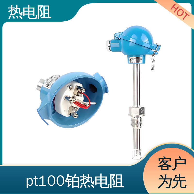 天康 WZP-130 热电阻传感器 测量精度高 厂家供应 现货充足