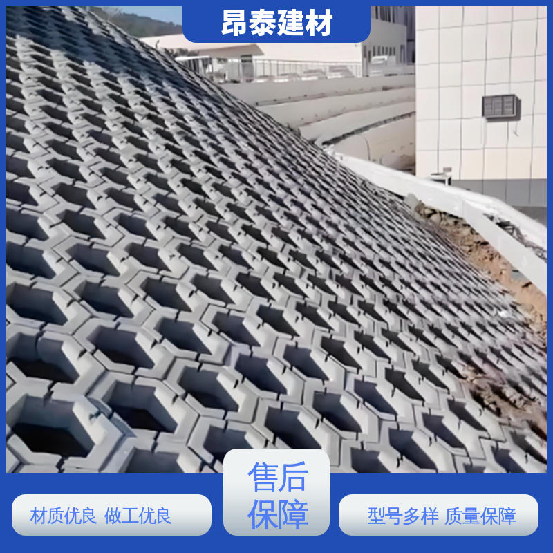六角护坡砖 尺寸按需生产 抗剪能力强 做工精细 实力商家