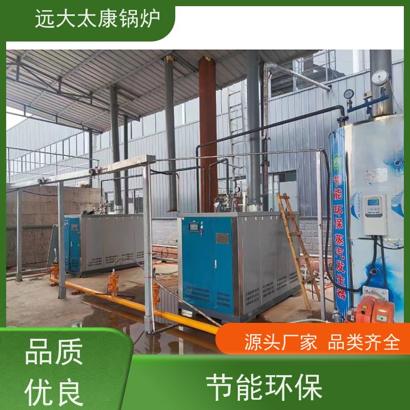 远大太康 食品加成 D级蒸汽发生器 2吨用户免报检