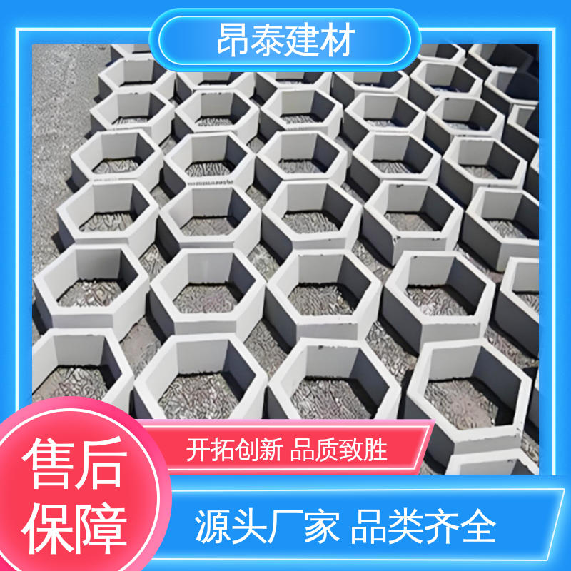 六角护坡砖 做工精细 尺寸按需生产 承压能力强 昂泰建材