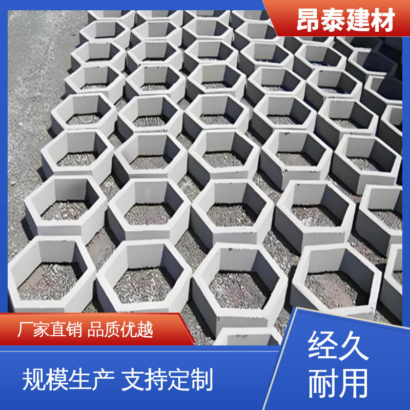库存充足发货快 六棱护坡砖 抗渗漏性强 高度10cm 源头工厂