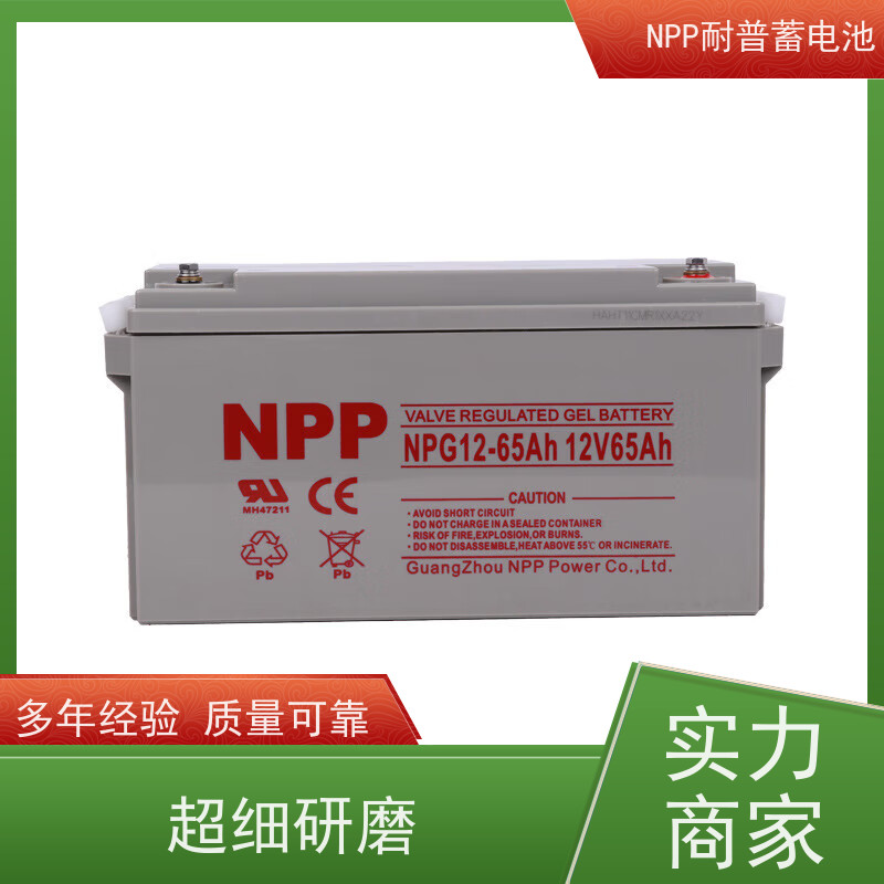 机房UPS电池 NPG12-24 适用机房储能蓄电 质保三年