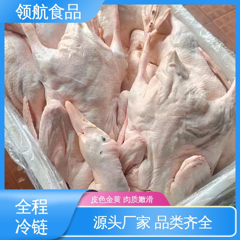 领航食品 家常做菜用 冰冻白条鸭 轻松做出美味佳肴 品质稳定