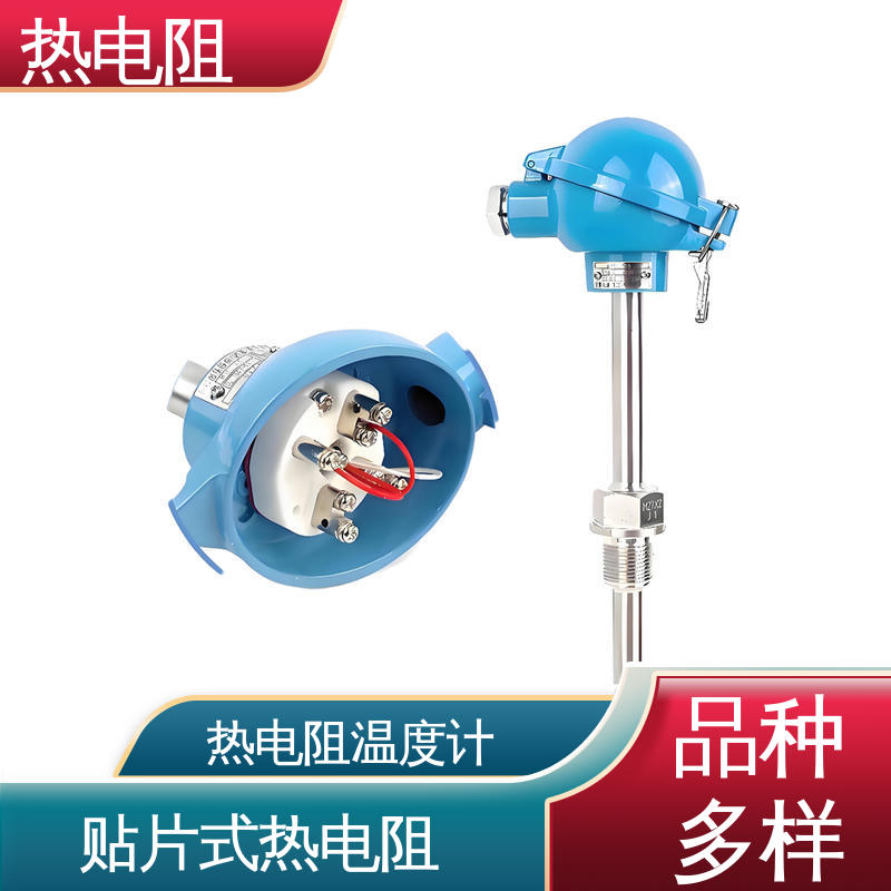 天康 WZP-130 热电阻 可靠性高 实力厂家 支持定制