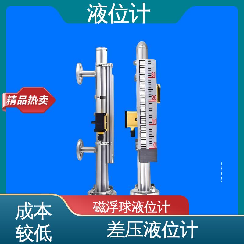天康 3051L型 磁浮子液位计 实时监测 厂家制造 来图定制