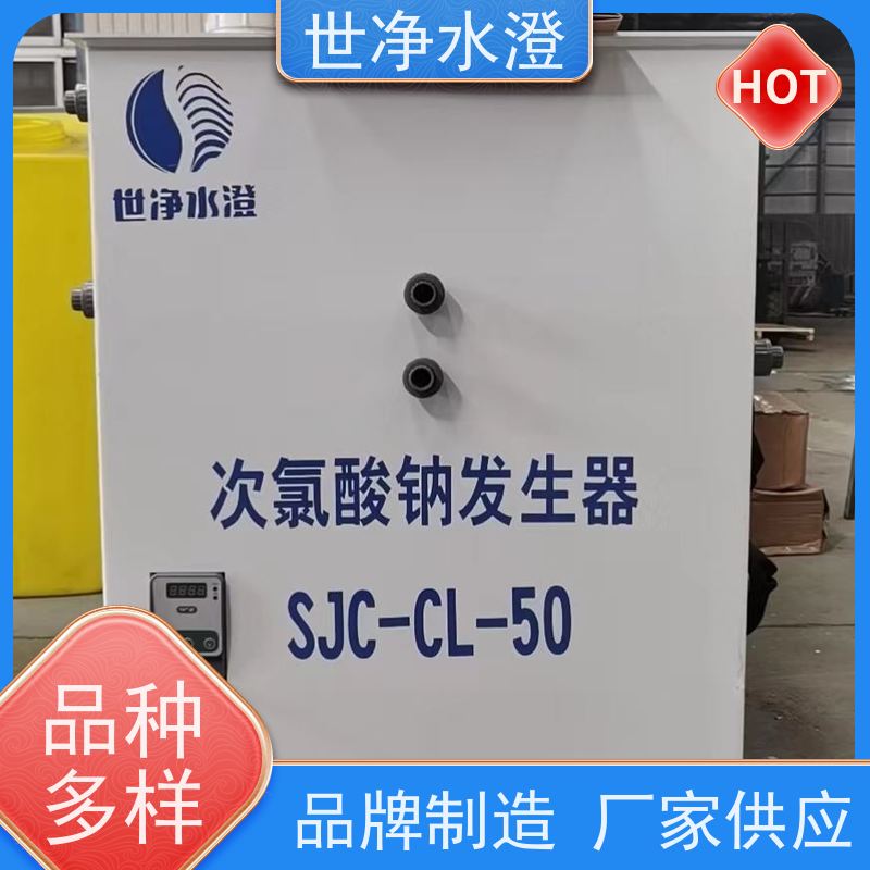 世净水澄 生产厂家 电解法次氯酸钠发生器 可按需求定制 性价比高