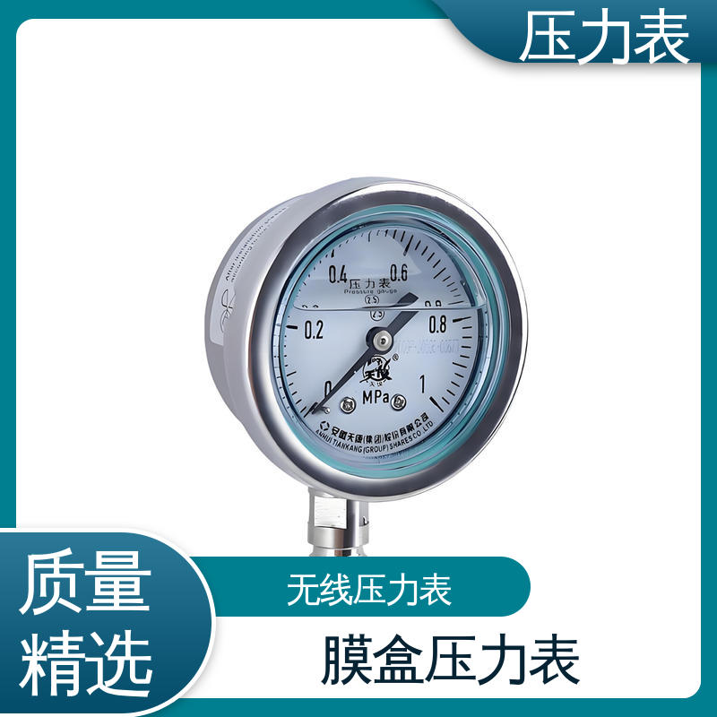 天康 Y-B 系列 防震压力表 直观性强 可靠性高 源头厂家 品类齐全