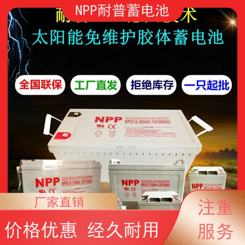 耐普蓄电池 NPG12-100 适用EPS ups电源 安装维修维护