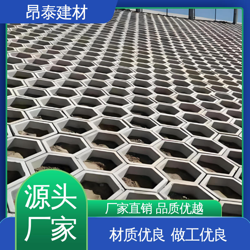 抗剪能力强 六棱护坡砖 尺寸按需生产 送货上门 多种规格