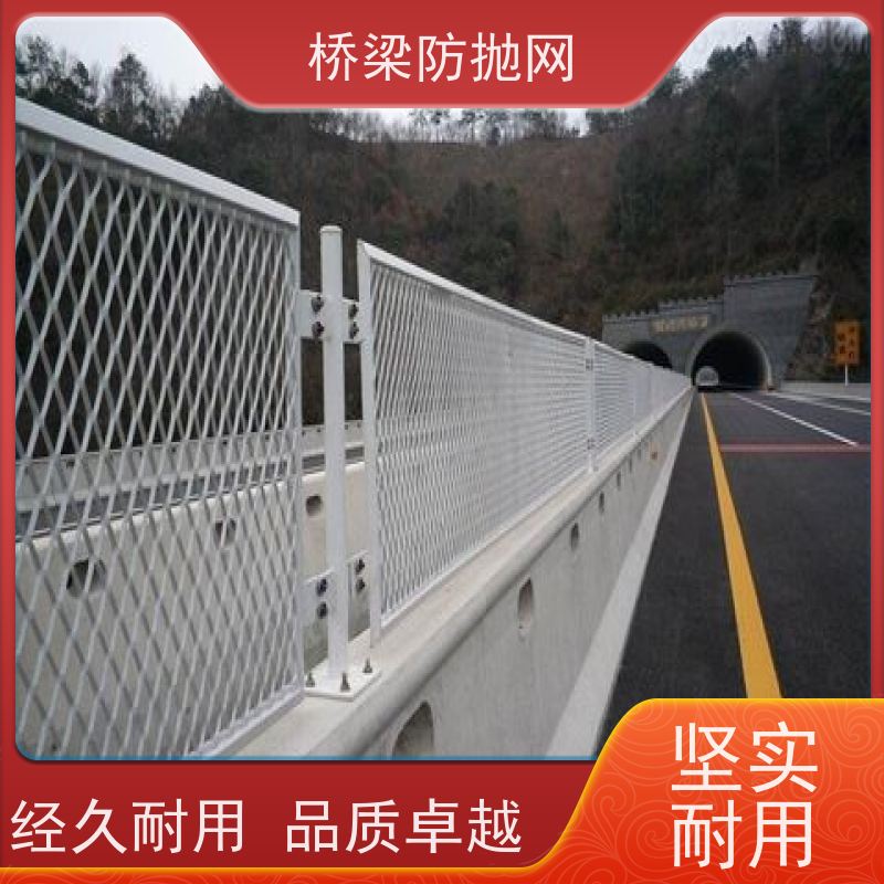 天桥防护网框架护栏网桥梁防抛网公路防眩网