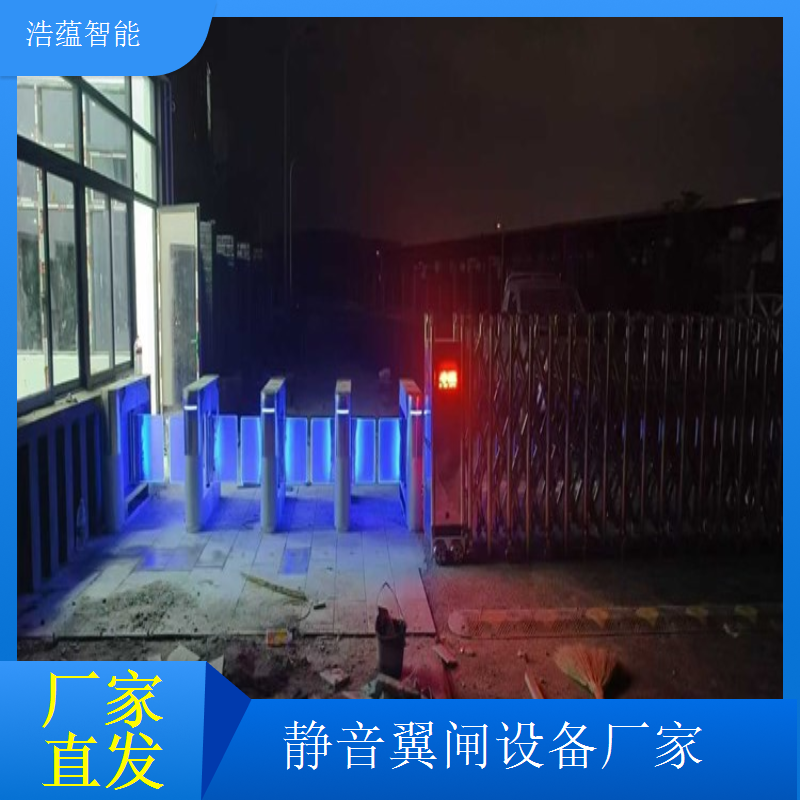 翼闸闸机智能联动 支持定制 满足您的安全检查需求