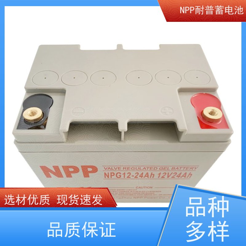 UPS电池厂 NPG12-250 铅酸胶体阀控式 华南区代理 