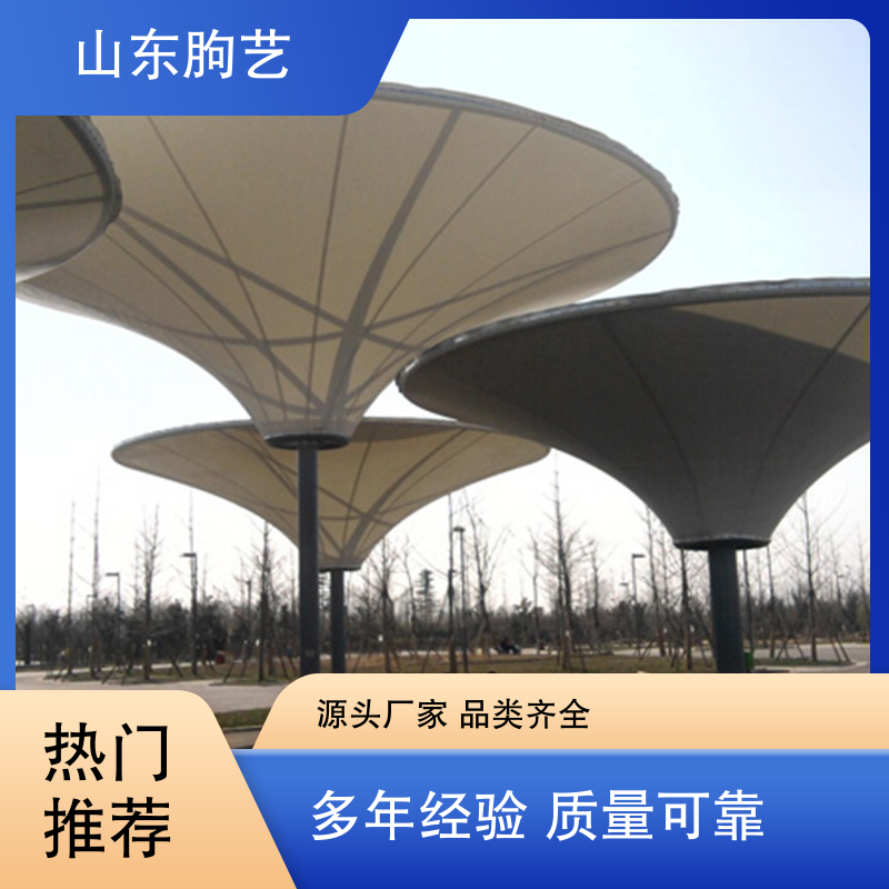 图7