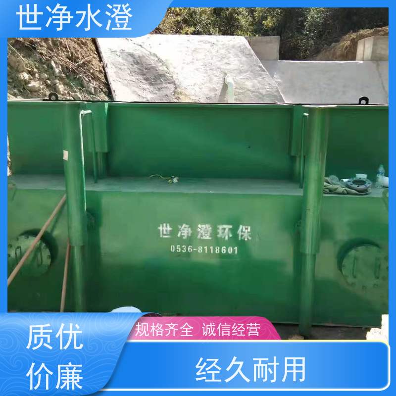 世净水澄 布局合理 河水净化设备 免费提供方案 智能