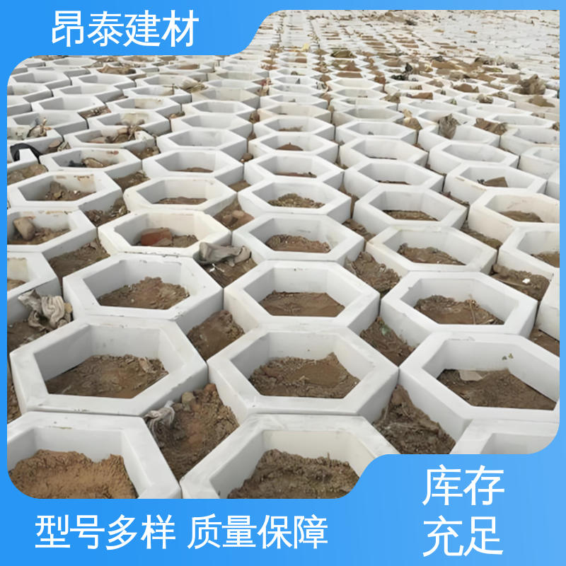 多种规格 库存充足发货快 六角护坡砖 抗渗漏性强 高度10cm