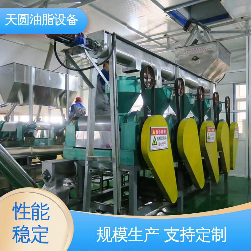 多功能一体化 牛油精炼设备 0.5-200吨 可根据原料定制 天圆