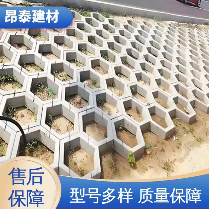 不易变形 实心水泥道路砖 耐磨耐风化 六角护坡砖 多种规格
