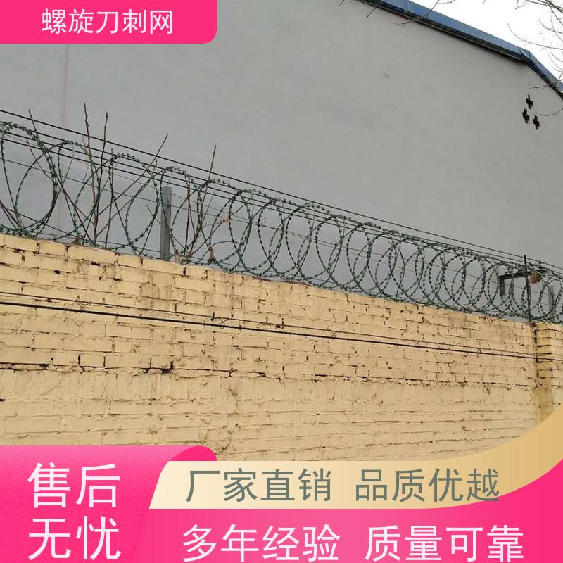 防攀爬刀刺网斧行型刀片防爬网高锌刺丝滚笼材质