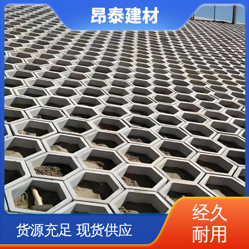 六角护坡砖 源头工厂 承压能力强 实心水泥道路砖 出货质检