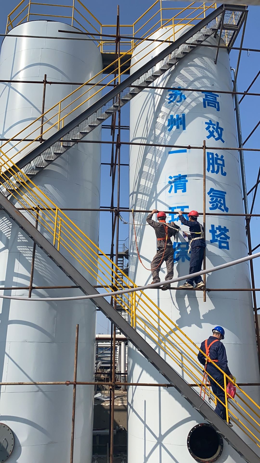 降解cod氮磷装置 脱氮厂家 用于电镀污水 专用总氮去除菌种 反应快