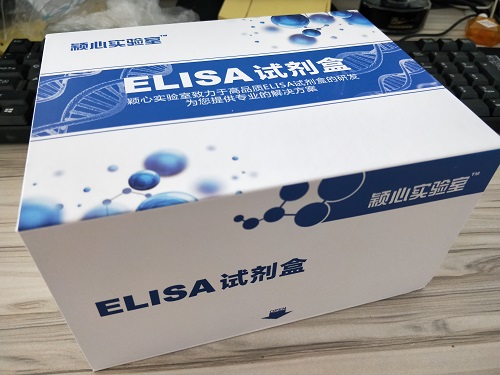 小鼠FMS样酪氨酸激酶3配体Flt3LElisa试剂盒