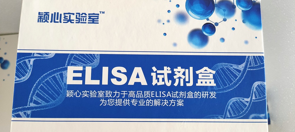 人血平滑肌肌球蛋白重链smMHCElisa试剂盒