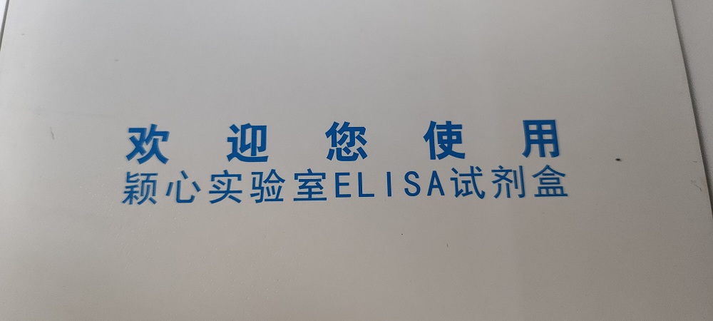 人内脂素 内脏脂肪素visfatinElisa试剂盒