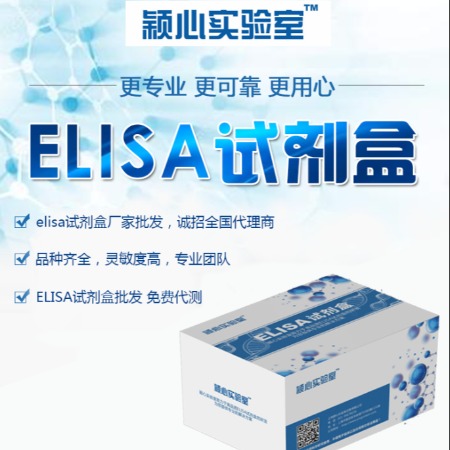 人巨噬xi胞来源的趋化因子MDC/CCL22Elisa试剂盒