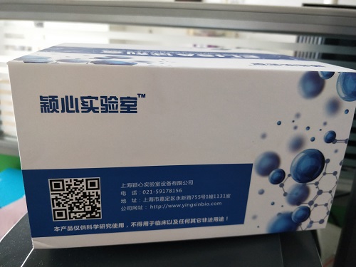 人NOD样受体NLRElisa试剂盒