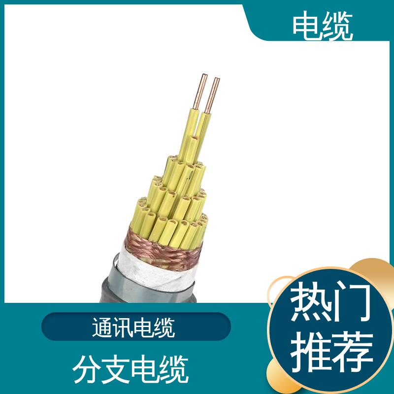 天康 YGC22 电线电缆 科学严谨的工艺 规模生产 来图定制
